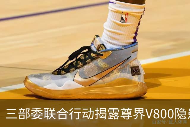 三部委联合行动揭露尊界V800隐患，懂车帝的预测将成真？
